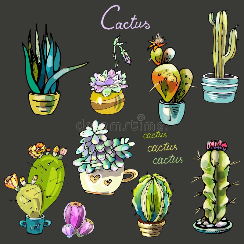 Conjunto De Succultos De Cacto De Desenho Animado Ilustração do Vetor -  Ilustração de potenciômetros, méxico: 209144304