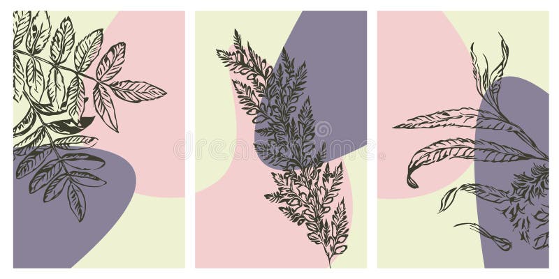 Conjunto De 3 Ilustraciones Botánicas Minimalistas Imprimibles. Diseño De  Folletos Para Portadas De Postales. Ilustración del Vector - Ilustración de  mano, floral: 222805073