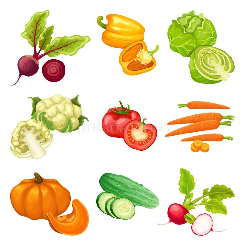 Vegetais Dos Desenhos Animados, Aipo, Abobrinha, Cebola, Cenoura E  Couve-flor. Vegetal Orgânico Fresco, Repolho De Comida Vegetariana E  Pepino. Conjunto De Símbolos Isolados De Vetores De Vegetais Royalty Free  SVG, Cliparts, Vetores