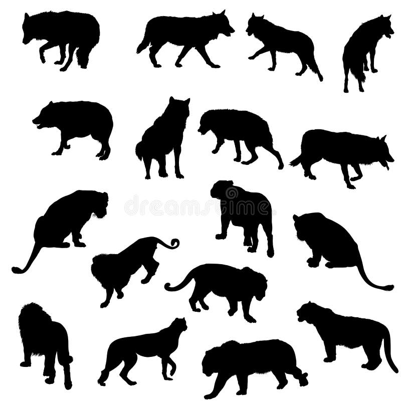 Conjunto de lobos, de tigres, de leopardos y de leones ilustración del vector Conjunto de lobos, de tigres, de leopardos y de leones ilustración del vector