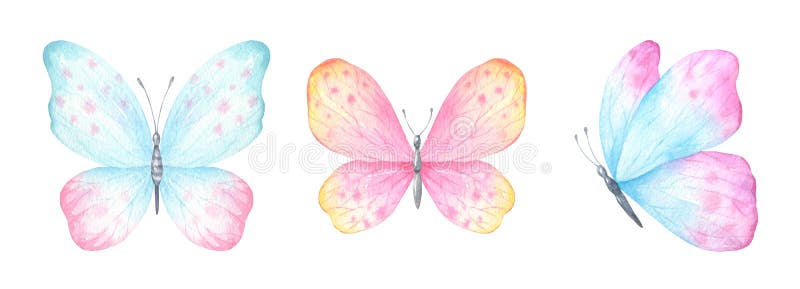 Conjunto De Mariposas De Color Agua Stock de ilustración - Ilustración de  pintura, colorido: 168290588