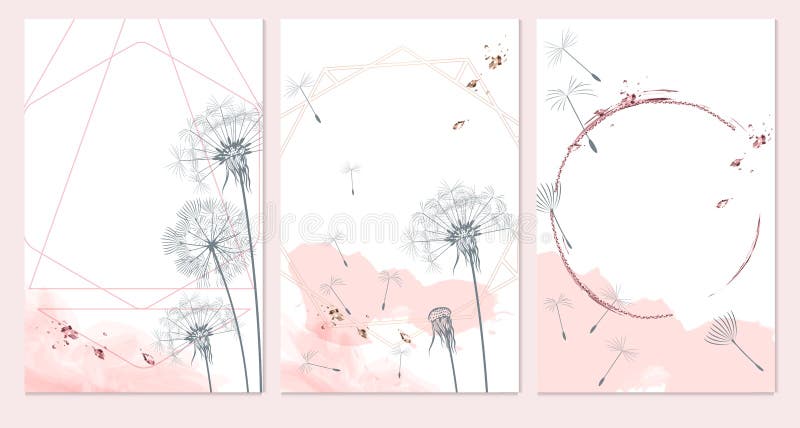 Conjunto de modelos vetoriais no estilo floral feminino minimalista com cores cor rosa branca e cinza dandelions