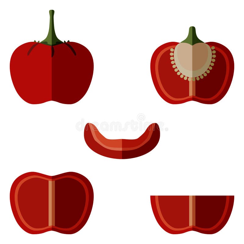 Ilustração em vetor desenho animado de capsicum vegetable set
