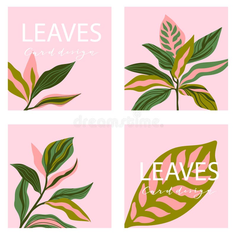 Set of four square card template. Universal trend posters with bright tropical leaves foliage on the pink background.  Stylish design for banners, brochures, magazines or sale. Set of four square card template. Universal trend posters with bright tropical leaves foliage on the pink background.  Stylish design for banners, brochures, magazines or sale