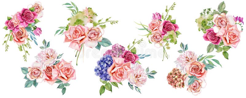 Conjunto de ramos acuarelas. ramo azul y rosa de flores con delicadas hojas de helecho verde. rosales de hidrangea. casamiento ilustración del vector