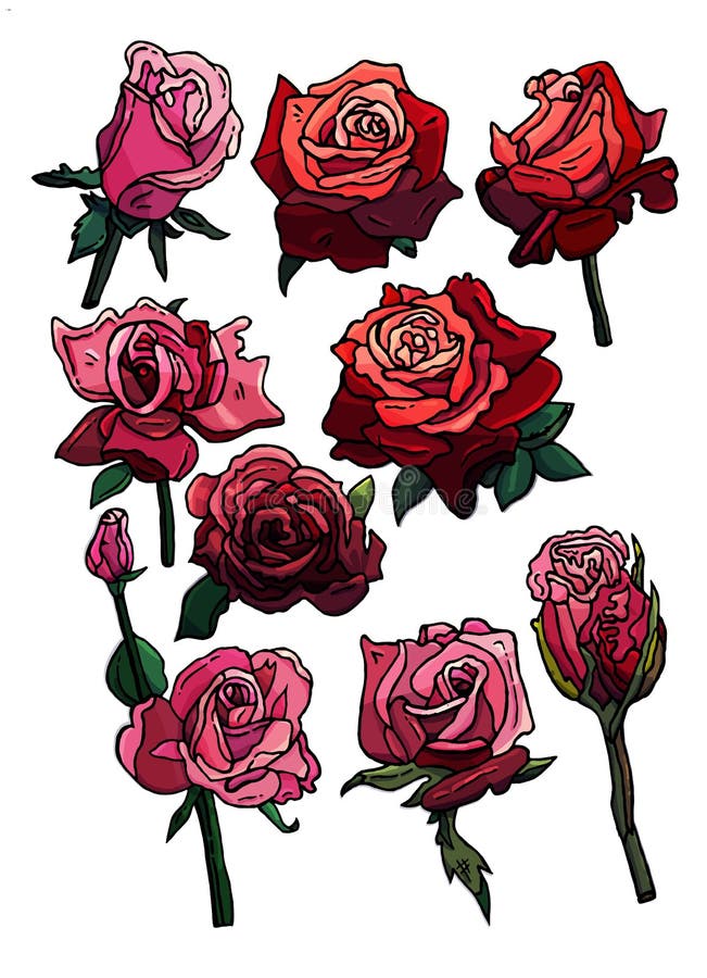  Conjunto De Rosas Rosas Rosas Rosa Y Naranja Flores Y Brotes Estilo De Dibujos Animados Rosas Stock de ilustración