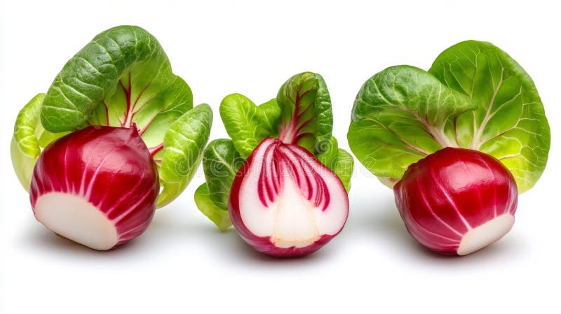 Conjunto de tres cabezas de radicchio frescas aisladas ilustración del vector