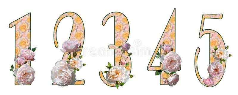 Raster set of numbers 1, 2, 3, 4, 5 with pink blurred floral fill and white roses. Isolated elements on a white background. Broadway. Raster set of numbers 1, 2, 3, 4, 5 with pink blurred floral fill and white roses. Isolated elements on a white background. Broadway.