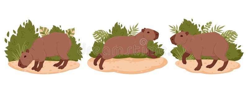 Capybara Vetores, Ícones e Planos de Fundo para Baixar Grátis