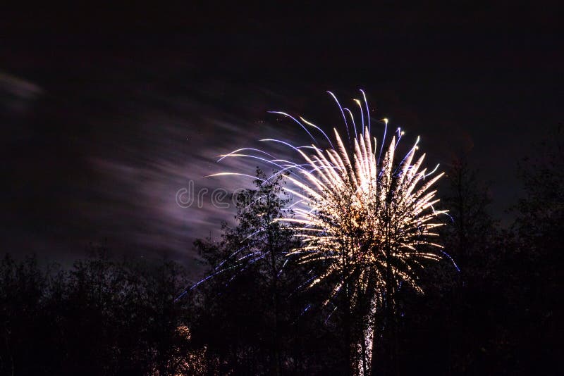 Conkers Em Forest Fireworks Nacional Foto de Stock Imagem de exterior