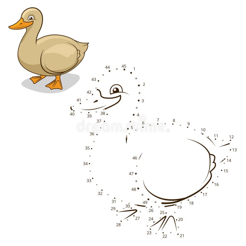 Duck Life Cycle Infographics 26322203 Vector Art at Vecteezy