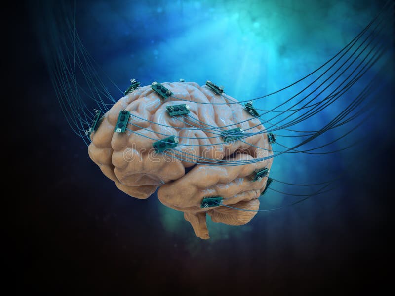 Human brain connected to cables and computer chips. Human brain connected to cables and computer chips