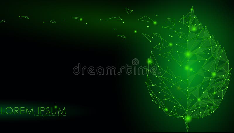 Connected dots point line triangle leaf. Eco nature concept on dark green background lights geometric icon template illustr