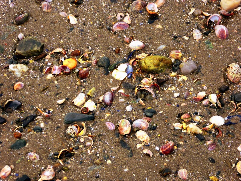 Connecticut-Strand-Seeoberteile stockfotos Connecticut-Strand-Seeoberteile stockfotos
