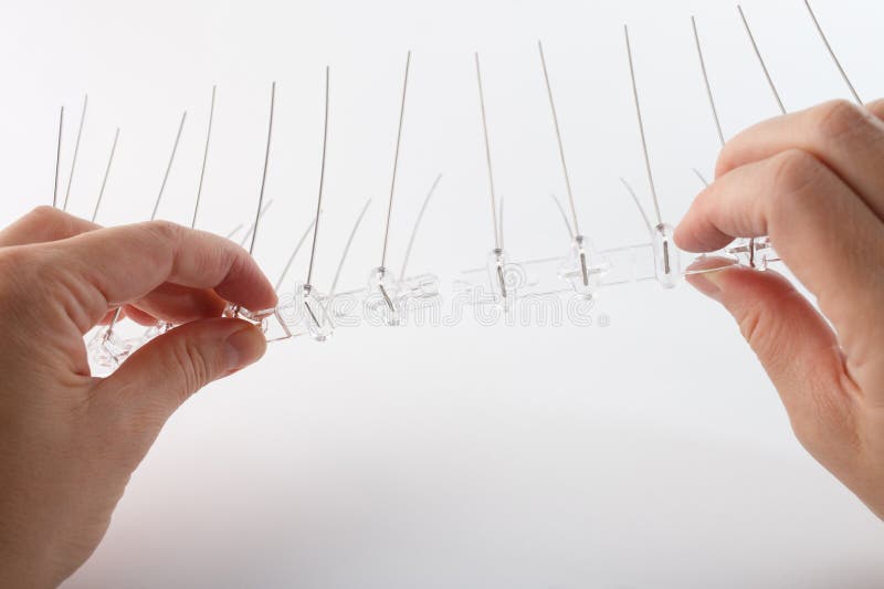 Connecting two sections of bird deterrent spikes made of metal rods and clear plastic base to extend coverage. Useful stock image