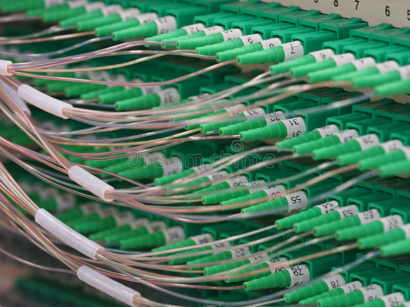 Fiber Optic Connectors in the back of a 576f Distribution Hub Panel connecting homes to Broad Band Services in an fiber to the Home Network. Fiber Optic Connectors in the back of a 576f Distribution Hub Panel connecting homes to Broad Band Services in an fiber to the Home Network