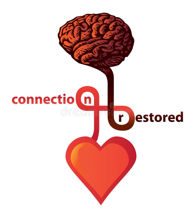 Connexion entre le coeur et le cerveau