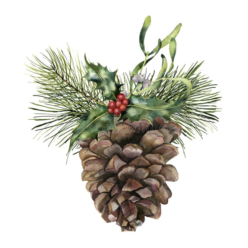 Cono del pino de la acuarela con la decoración de la Navidad Cono pintado a mano del pino con la rama, el acebo y el muérdago de