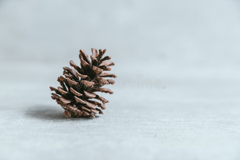 Cono del pino en la tabla de madera blanca rústica, backg de la decoración de la Navidad foto de archivo libre de regalías Cono del pino en la tabla de madera blanca rústica, backg de la decoración de la Navidad foto de archivo libre de regalías