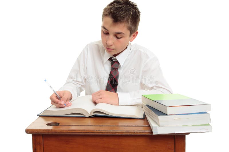 conscientious school boy student 14958489
