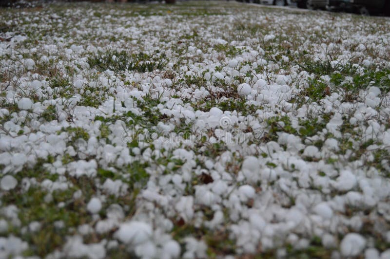 Chunks of ice from a hail storm. This is the remnants of a hail storm. Chunks of ice from a hail storm. This is the remnants of a hail storm.