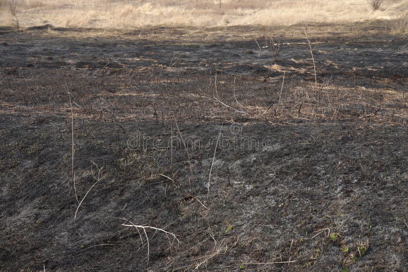 Nascente De água De Incêndio. Metano Em Combustão Na água. Fogo Frio Imagem  de Stock - Imagem de feiticeiro, subterrâneo: 214718589