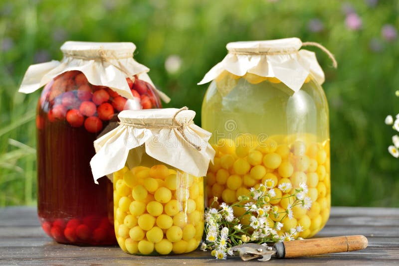 Conserve De Fruits, Compote De Griottes Photo stock Image du sain