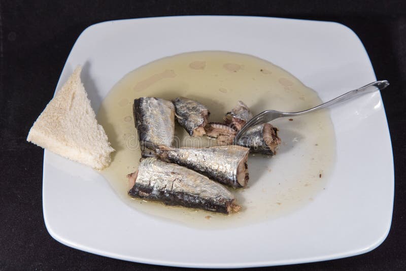 Sardine stock image. Image of anchovy, diet, snack, sardine 103706601