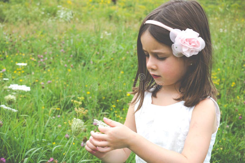 Consideravelmente pouco jogando com flowr selvagem no parque natural fotografia de stock royalty free