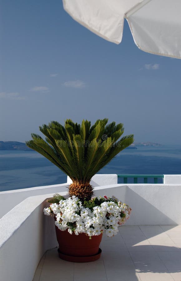 Greek island view over sea santorini flowers. Greek island view over sea santorini flowers