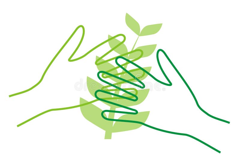 Line illustration of two hands in front of a plant. Line illustration of two hands in front of a plant