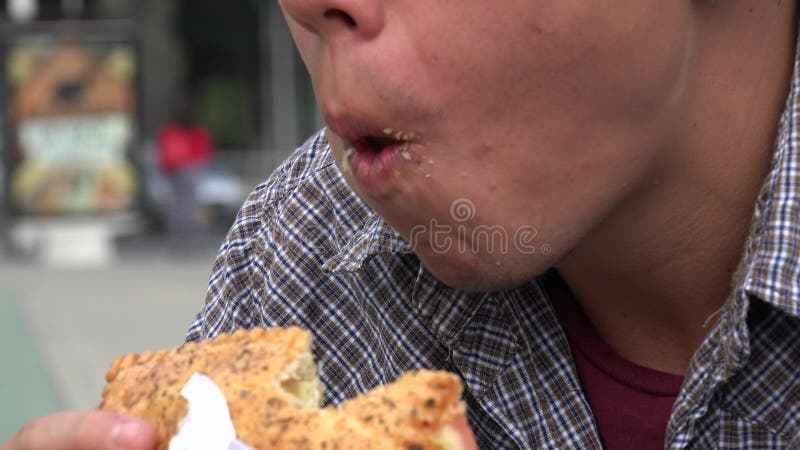 Consommation d'un sandwich, nourriture, casse-croûte clips vidéos Consommation d'un sandwich, nourriture, casse-croûte clips vidéos