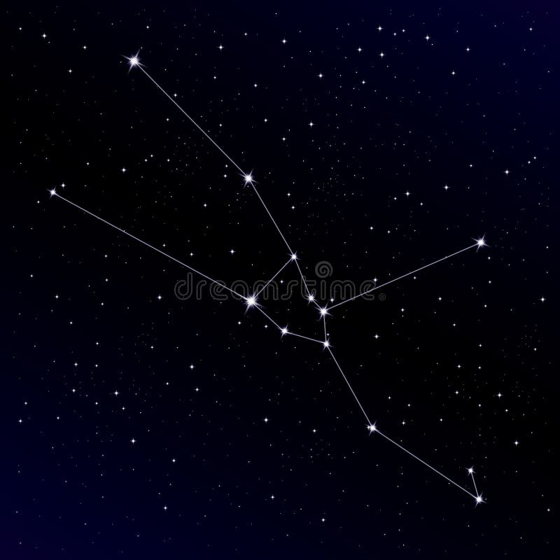 Constelação do Touro ilustração do vetor. Ilustração de astronomia -  60621456