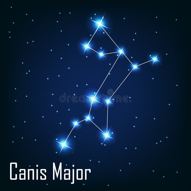 Souhvězdí Canis Major hvězda na noční obloze.
