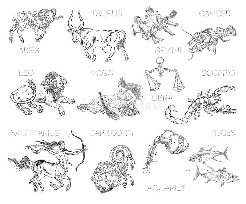 Constellations, Zodiac Signs, Horoscope. Aries, Taurus, Gemini, Cancer,  Leo, Virgo, Libra, Scorpio, Sagittarius Stock Vector - Illustration Of  Lion, Fantasy: 200206141