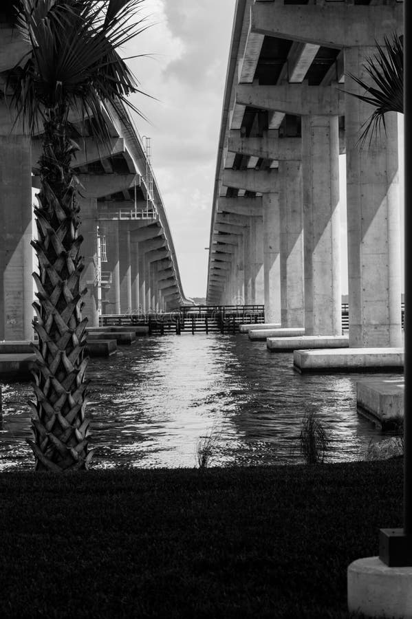 The veiw of two bridges stock image. Image of palm, construction 98826937