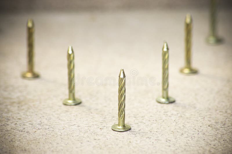 Construction nails stock photo. Image of chrome, closeup 73685648
