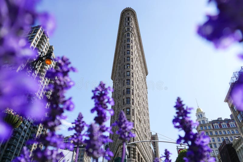 Construção do ferro de passar roupa com flores foto de stock Construção do ferro de passar roupa com flores foto de stock