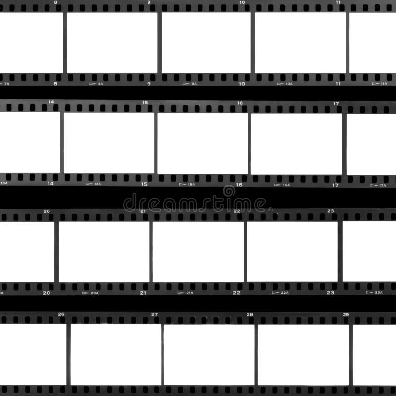 Contact sheet blank film frames