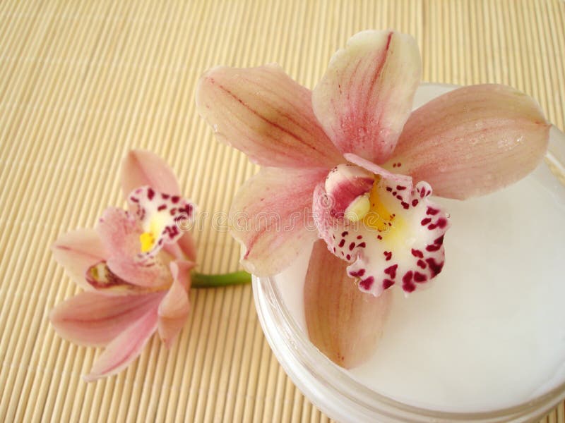 Container of cosmetic moisturizing cream with pink orchids