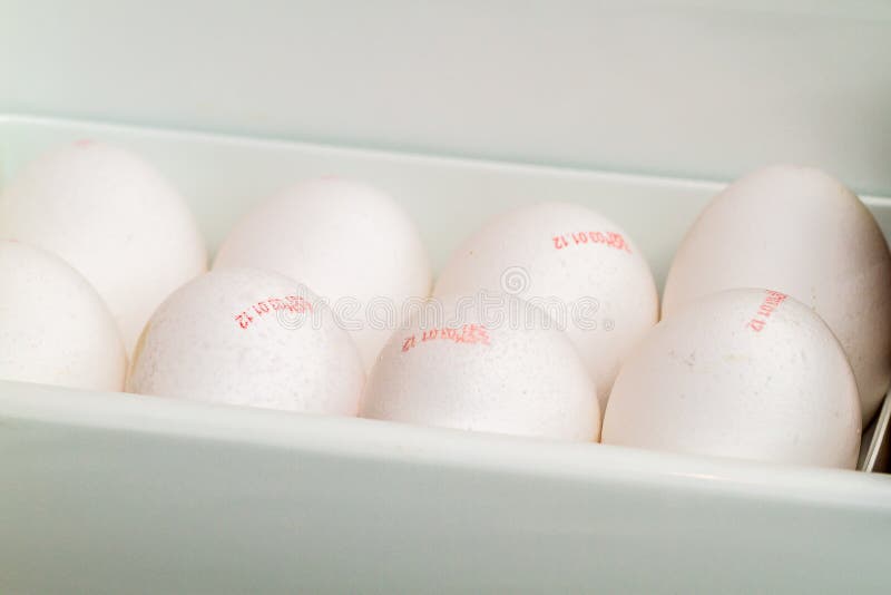Container of Fresh White Eggs with Dates Stock Photo Image of printed, food 227478248