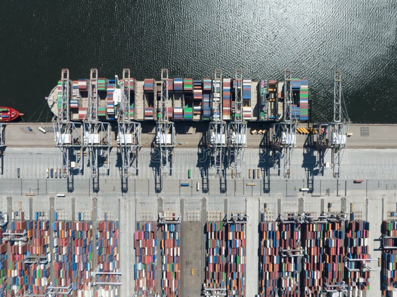 Container shipping terminal in the port harbour. import export and loading and unloading of merchandise of a large bulk royalty free stock photography