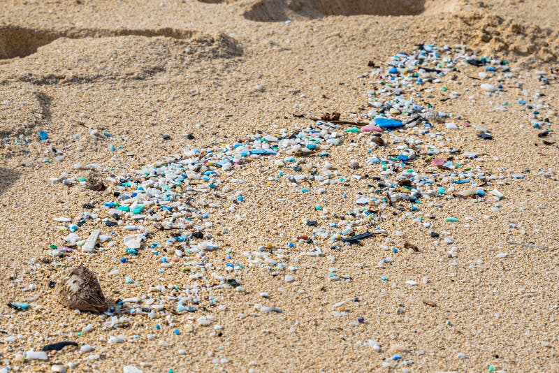Contaminación microplástica ensuciando la playa de Waimanalo