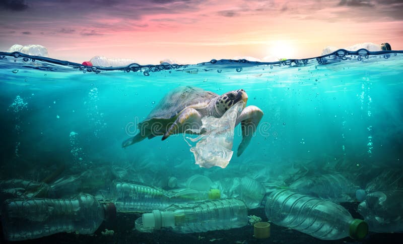 Contaminación plástica en el océano - la tortuga come la bolsa de plástico