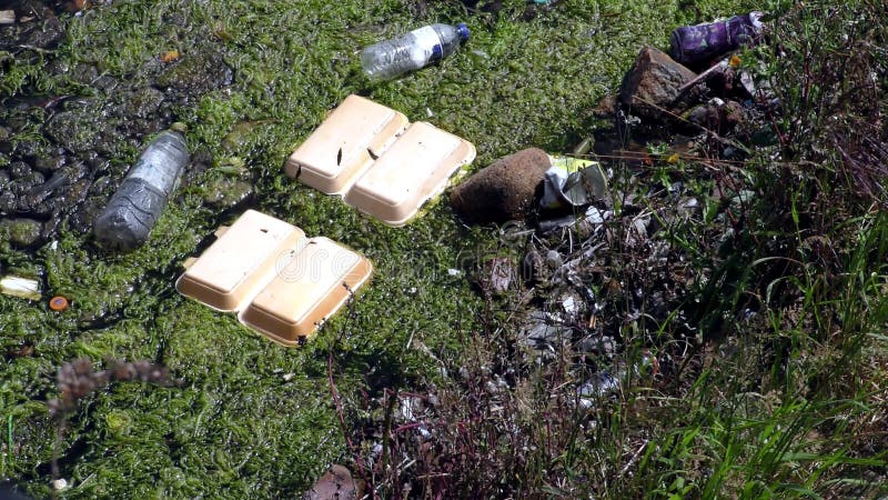 Contamination plastic pollution de déchets éditoriaux ambiante banque de vidéos