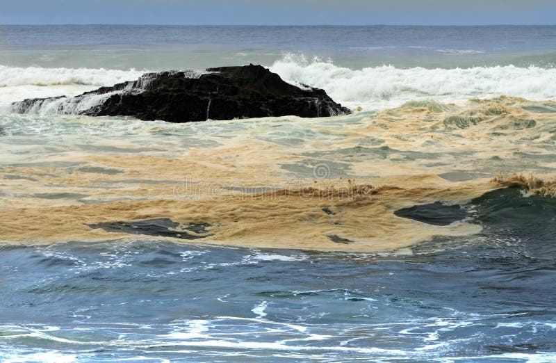 Contaminação fotografia de stock royalty free