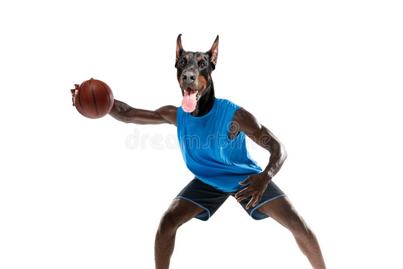 Funny Dabbing Dog Basketball かわいい犬ホンジュラスバスケットボールホンジュラスの旗スポーツ トレーナー 通販 