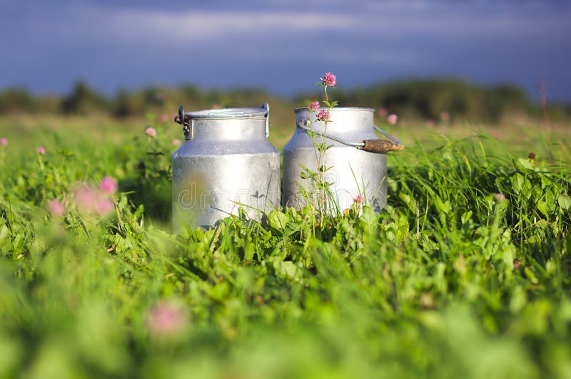 Conteneurs de lait photographie stock libre de droits Conteneurs de lait photographie stock libre de droits