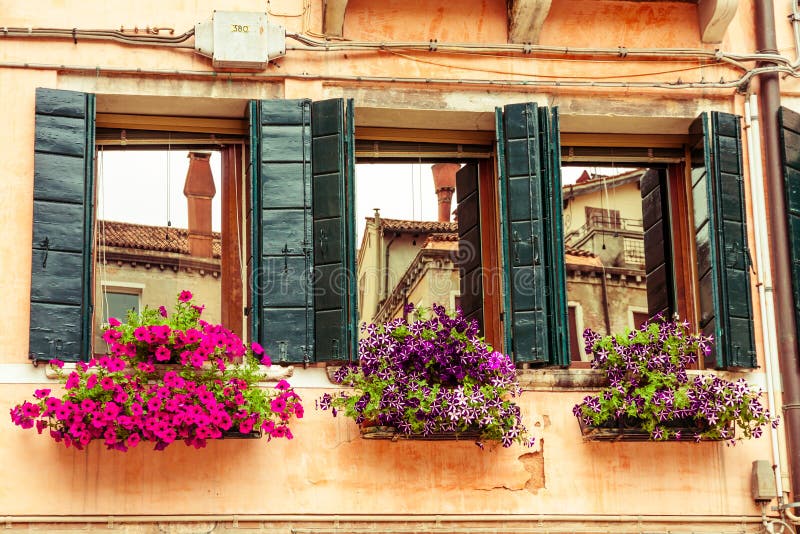 Contenitori e finestre di fiore Venezia fotografia stock libera da diritti Contenitori e finestre di fiore Venezia fotografia stock libera da diritti