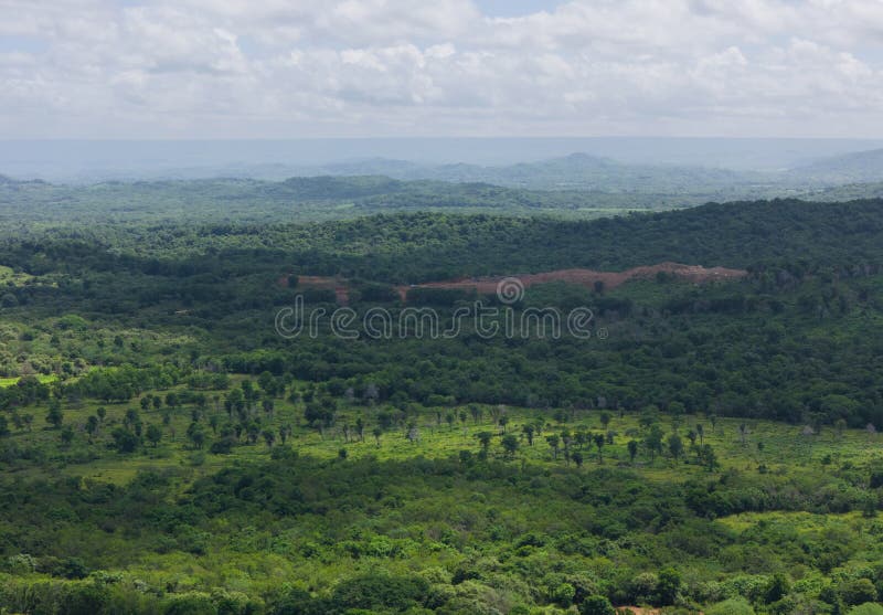 Contexto rural verde foto de stock